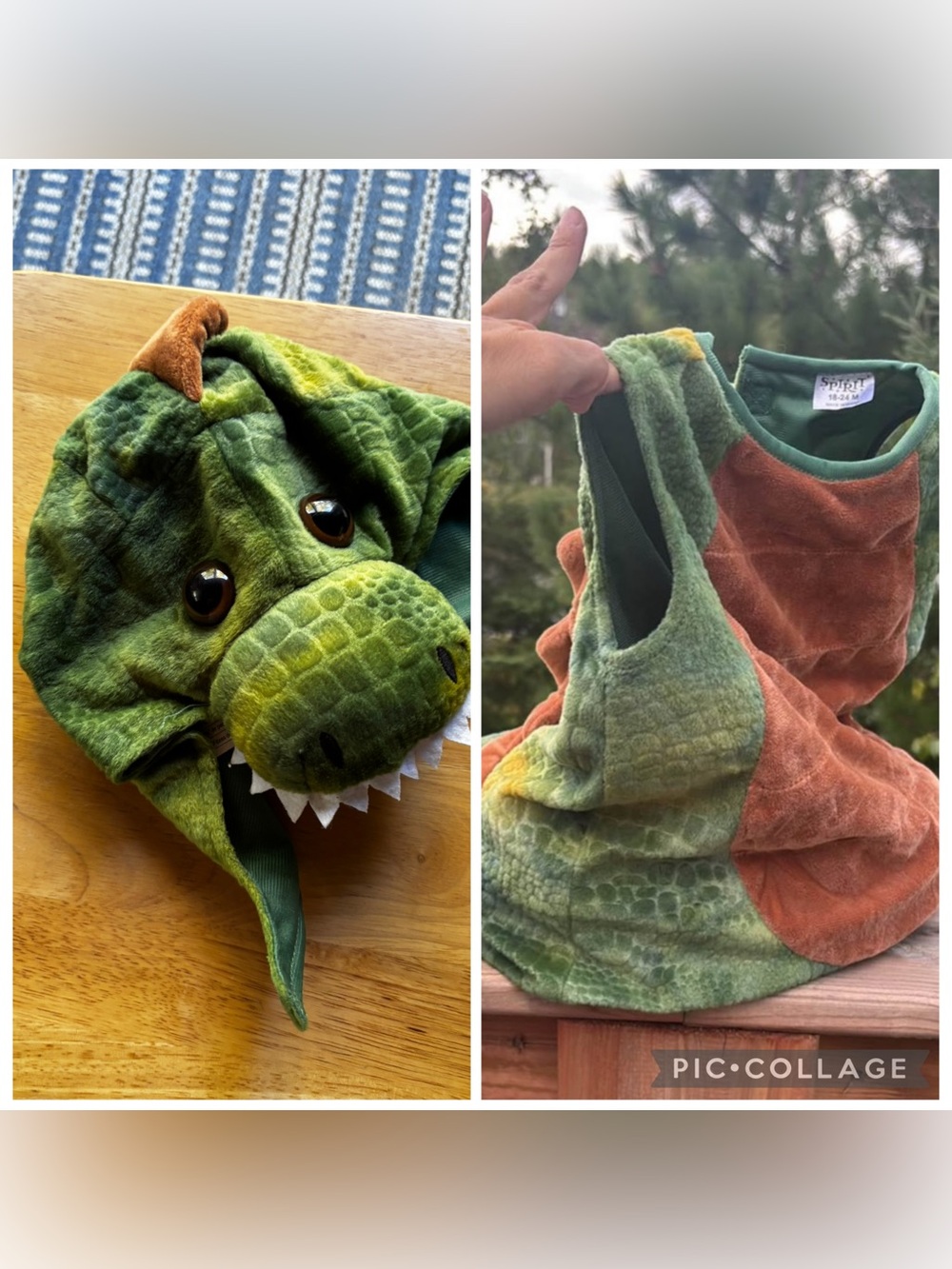 Children's Green and Dinosaur Costume
